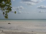   : Zanzibar 2011